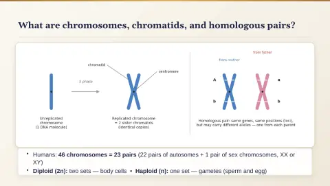 Slide 57