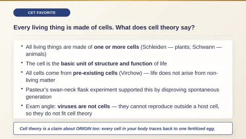 Slide 6