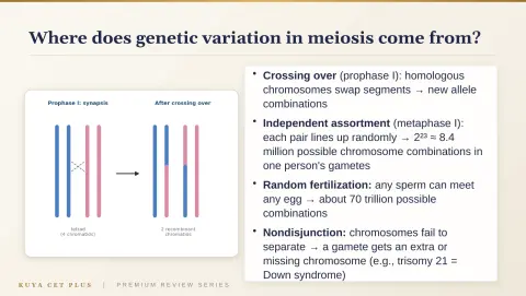 Slide 60