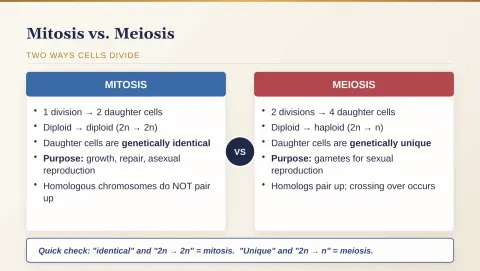 Slide 61