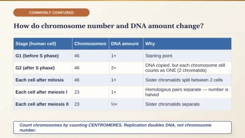 Slide 62