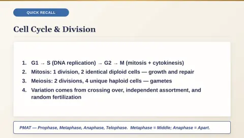 Slide 63