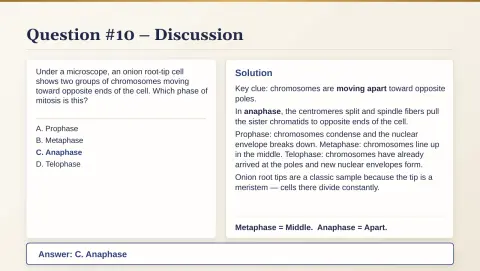 Slide 65