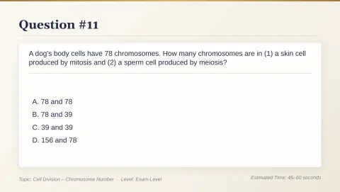 Slide 66
