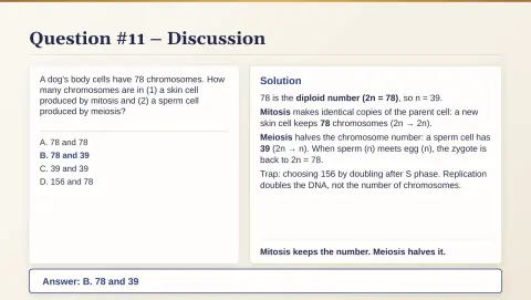 Slide 67