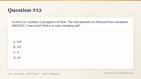 Slide 68