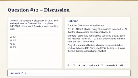 Slide 69