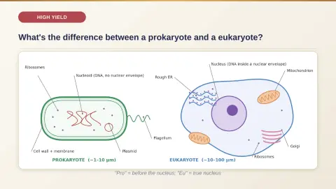Slide 7
