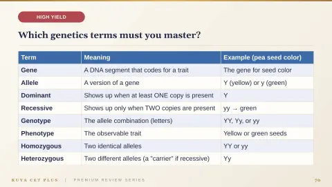Slide 70
