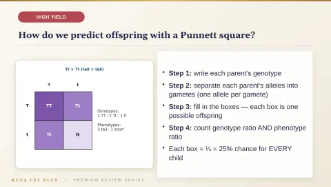 Slide 72