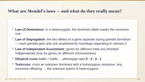 Slide 73