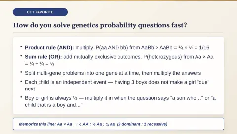 Slide 74