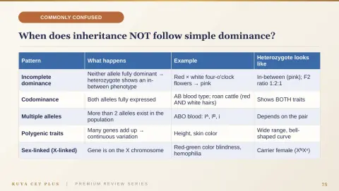 Slide 75