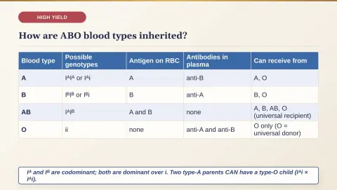 Slide 76