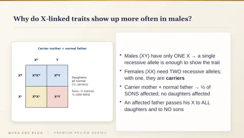 Slide 77