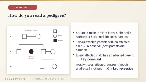 Slide 78