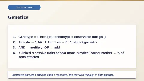 Slide 79
