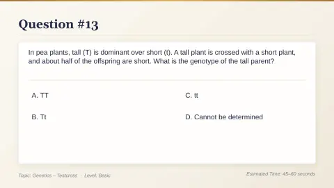 Slide 80