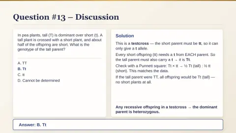 Slide 81