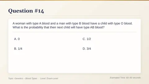 Slide 82