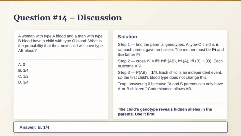 Slide 83