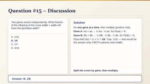Slide 85