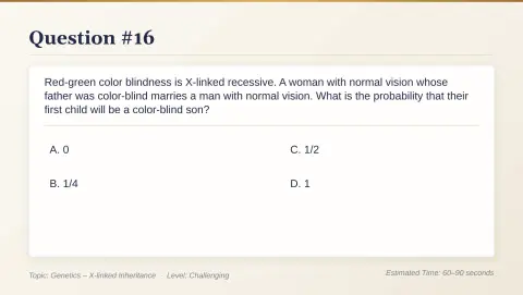 Slide 86