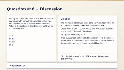 Slide 87