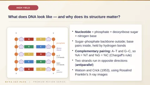 Slide 88