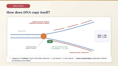 Slide 90