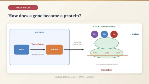 Slide 91