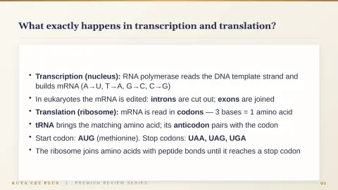 Slide 92