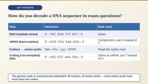 Slide 93