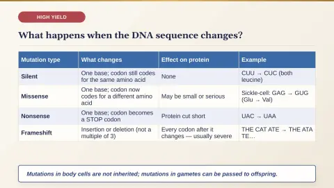 Slide 94