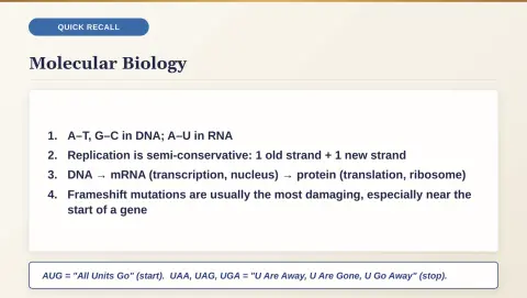 Slide 97
