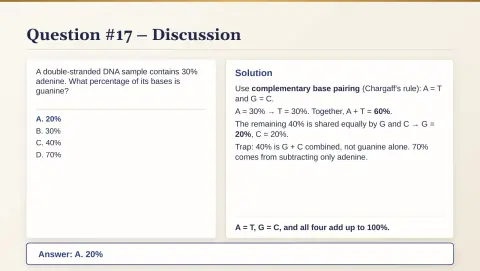 Slide 99