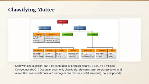 Slide 10