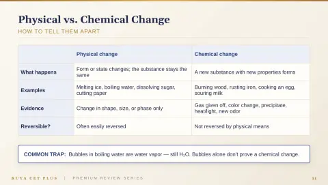 Slide 11