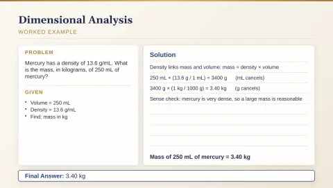 Slide 12