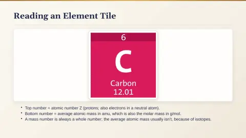 Slide 19