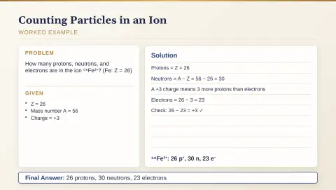 Slide 20
