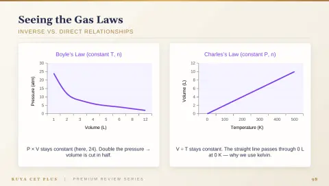 Slide 98