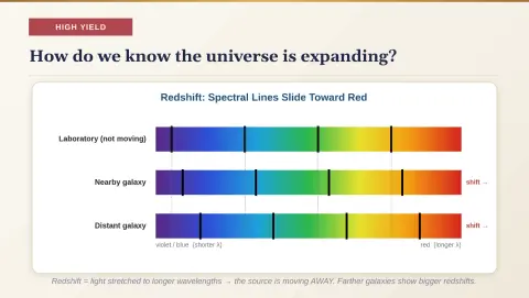 Slide 11