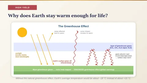 Slide 116