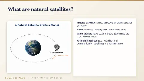 Slide 12