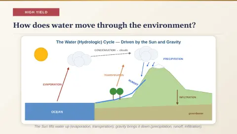 Slide 51
