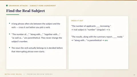 Slide 11