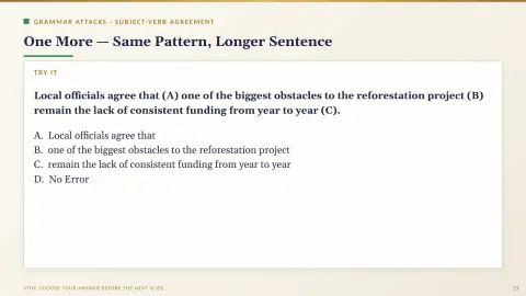 Slide 17