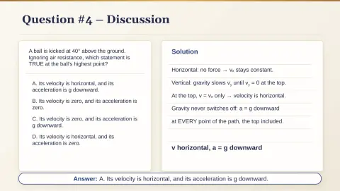 Slide 19